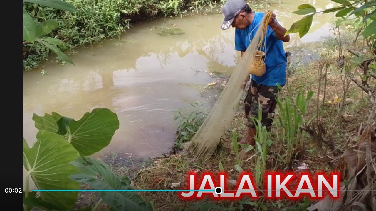 Kampung tengah sawah indah.bisa cari belut dan jala ikan gratis