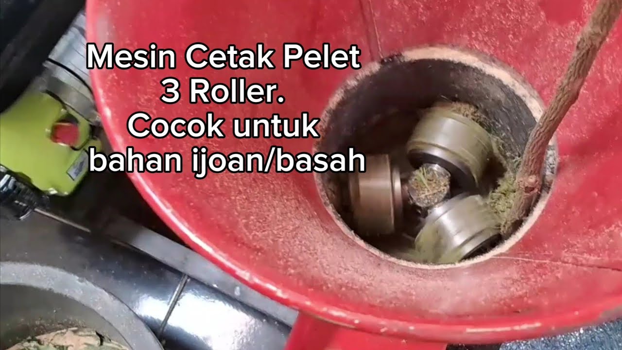 Mesin Cetak Pelet 3 Roll Cocok Untuk Cetak Pelet Bahan Ijoan tanpa fermentasi hasil tidak kering