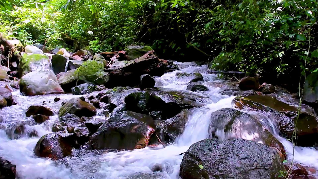 Mountain River Tranquil Stream | Nature White Noise for Deep Sleep and Anxiety Relief