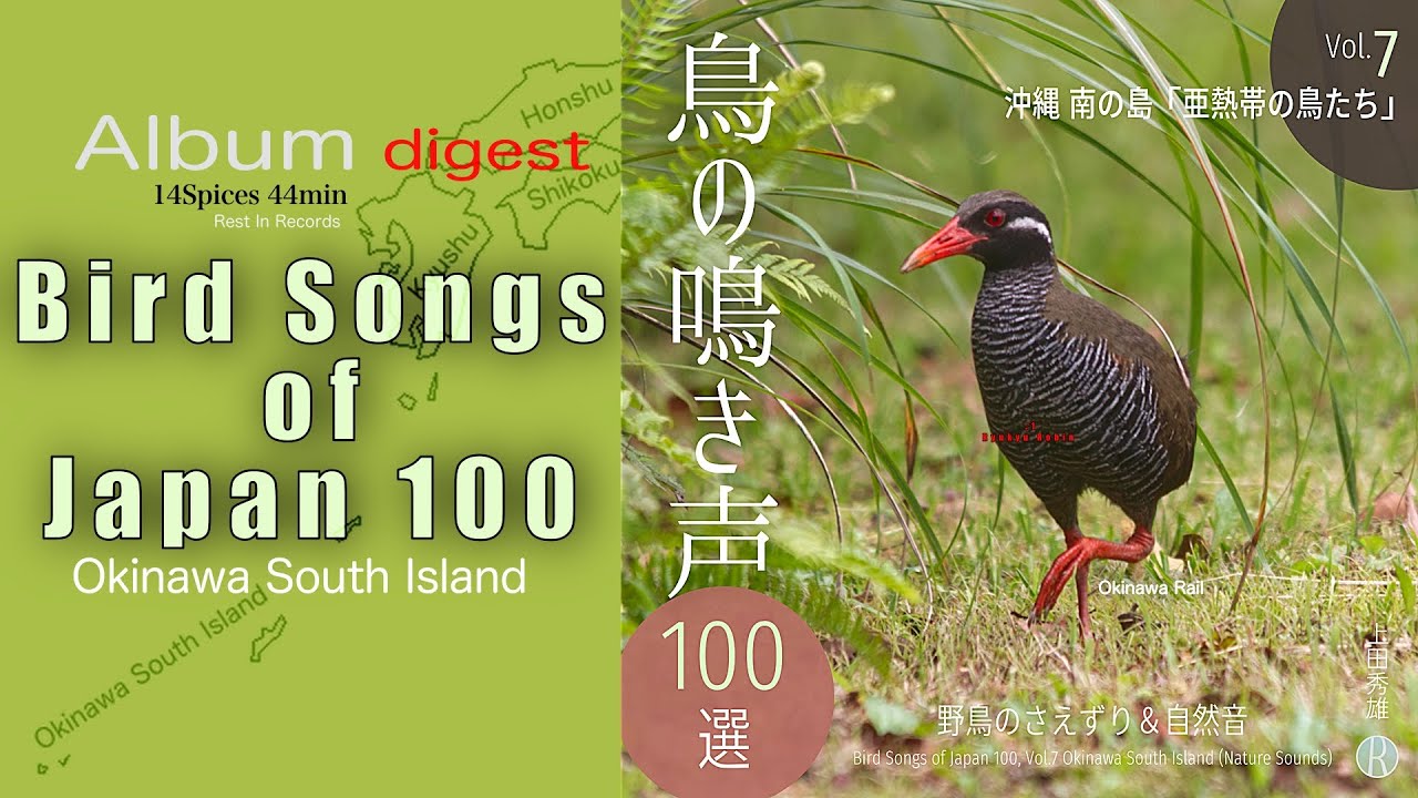 Japanese bird songs—you know them? 