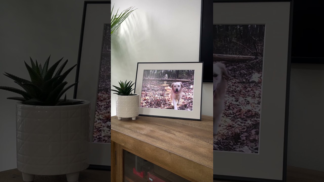 The Walden Aura Frame Review
