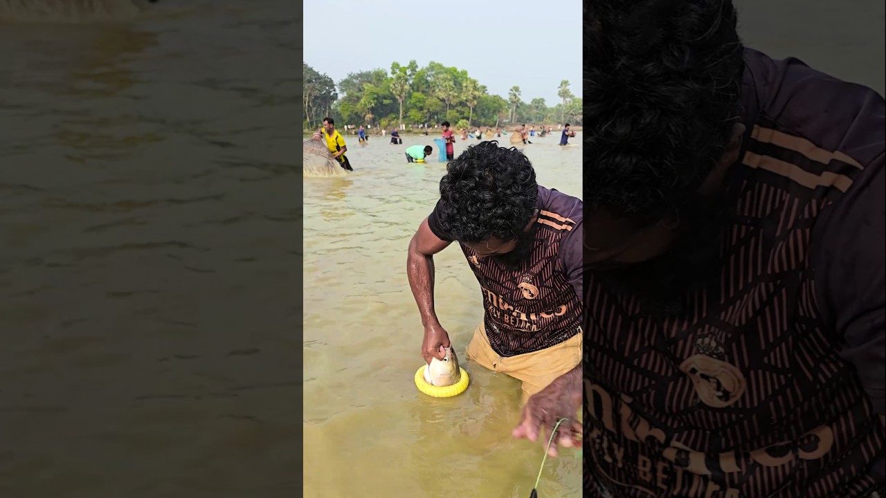 Wow! Amazing Polo Fishing Videos ! Best Big Fish Catching🐟Primitive Fish Catch 