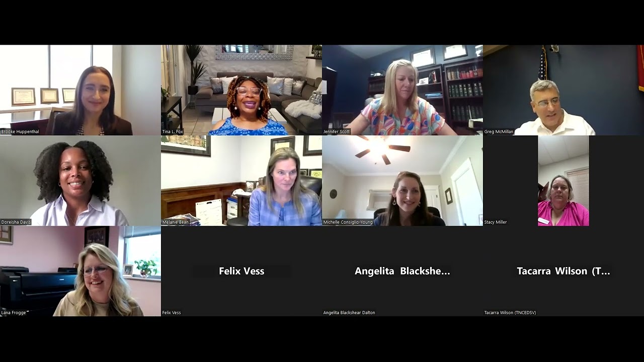 Tennessee Domestic Violence State Coordinating Council | 6.14.24 Meeting