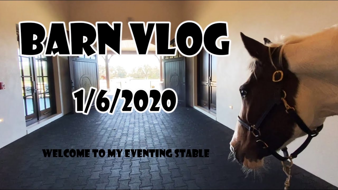 Welcome to my eventing stable!! (Barn Vlog Day 1) || Kirsten Equestrian