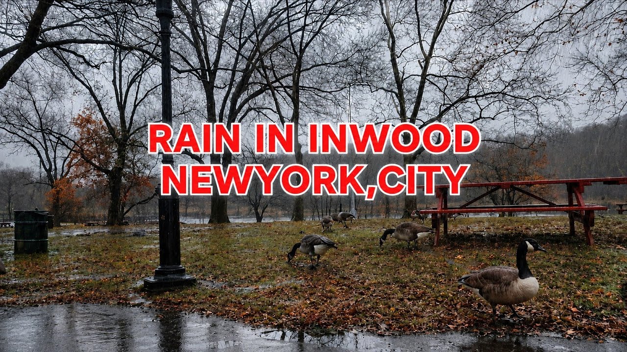 #momentord INWOOD PARK RAIN WALK  IN NYC
