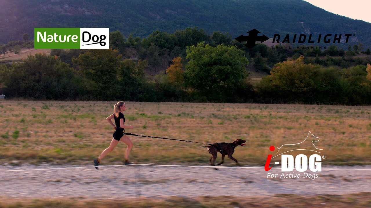Ensemble I-dog Raidlight