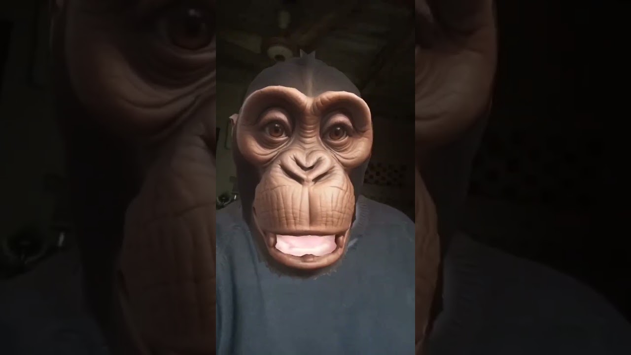 monkey🐒 style video