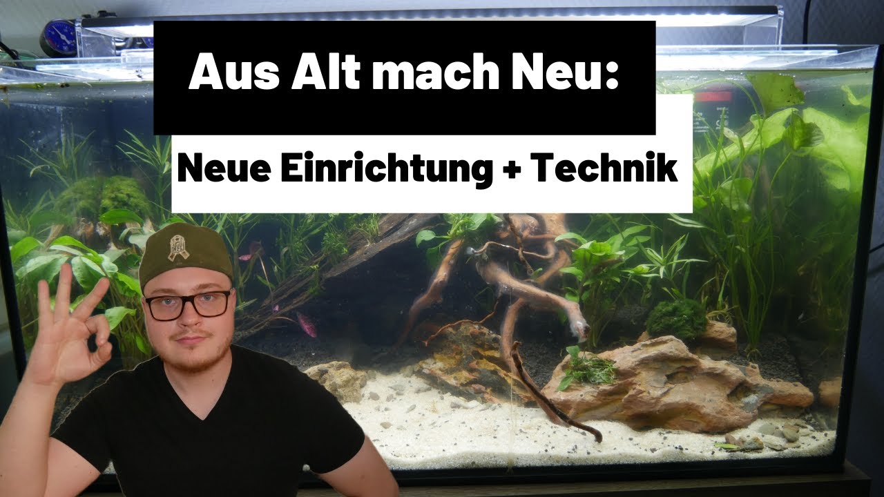 54L Baumarkt Aquarium neu einrichten | Neue Technik!
