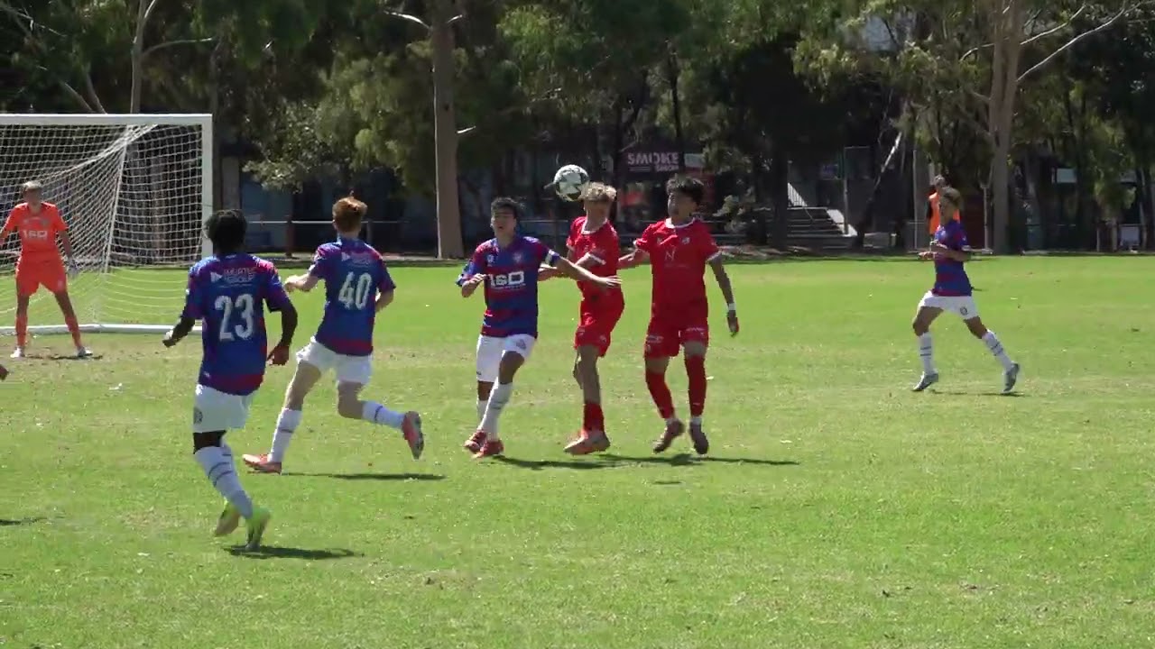 Essendon Royals v Dandenong City (U15 NPL) 1st Half