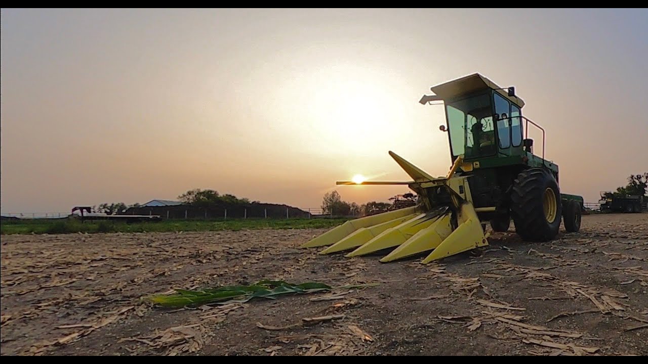 Chopping Silage John Deere 5400 | Farmer in the Boot