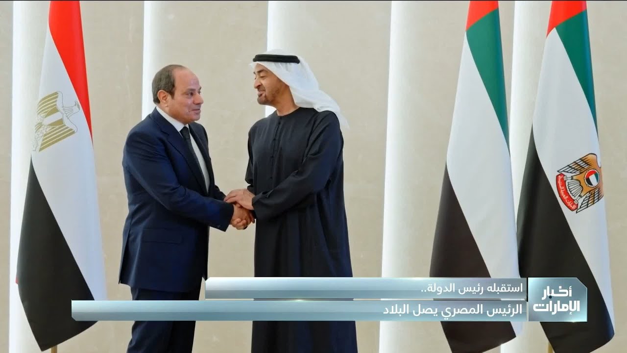 استقبله رئيس الدولة.. الرئيس المصري يصل إلى البلاد