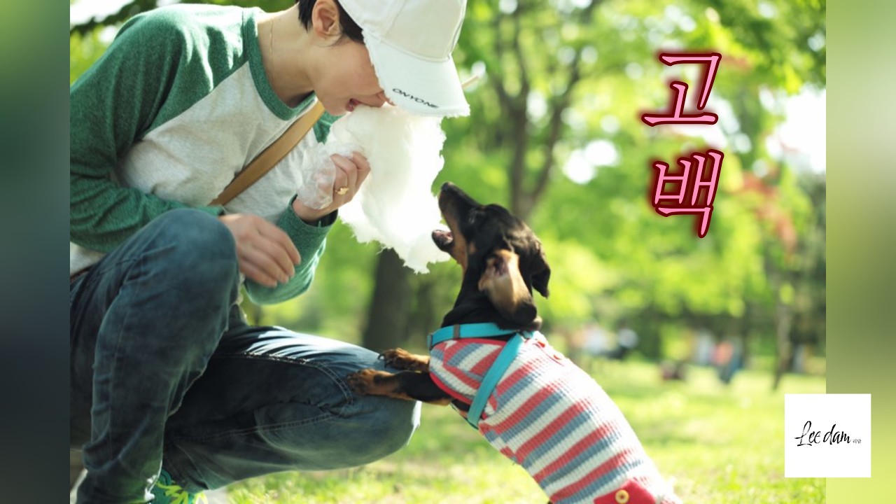 🐶 고백 (Confession) | 리담 Leedam | Guitar 박윤우 (Younwoo Park) | My Dog, My Love 💛