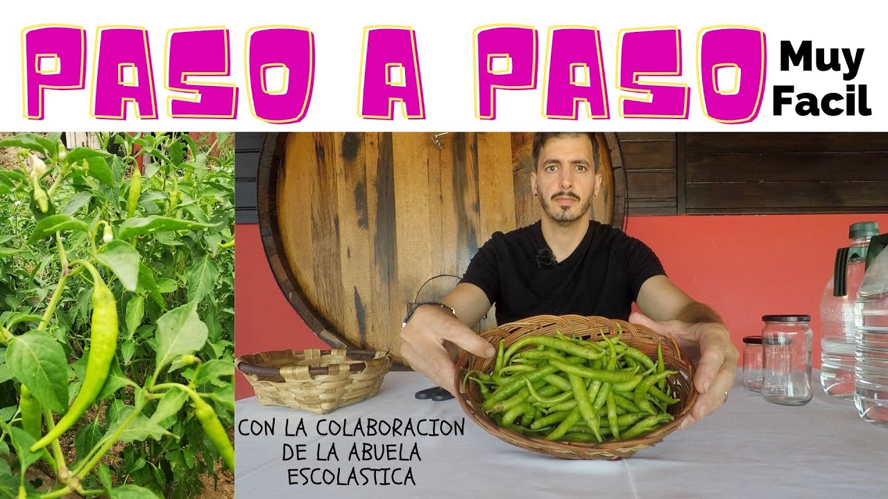 Como embotar guindillas en vinagre