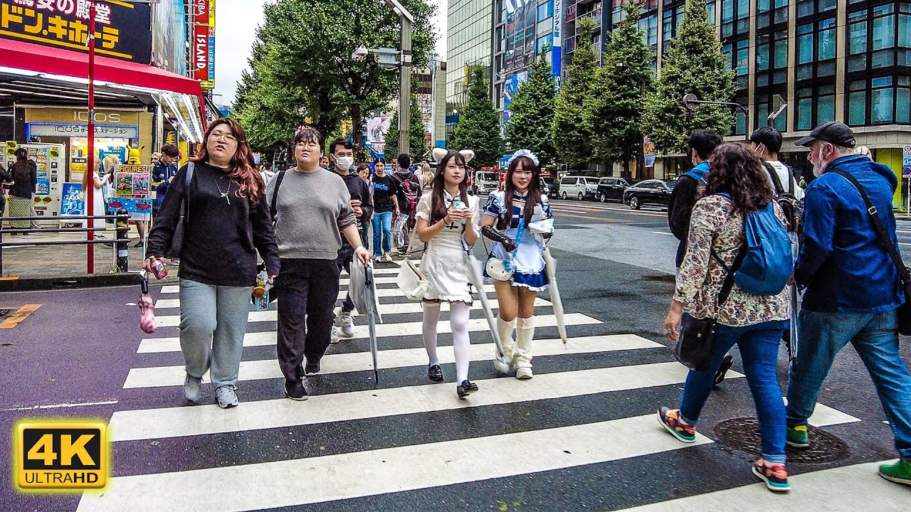 Walking from Ueno to Akihabara | Tokyo Street Tour 🇯🇵 4k Japan