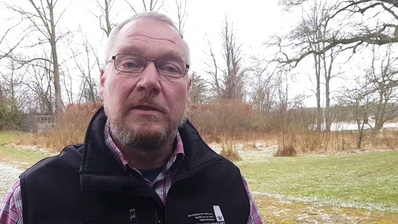 Uds&aelig;tning af fjervildt &ndash; husk sporbarheden