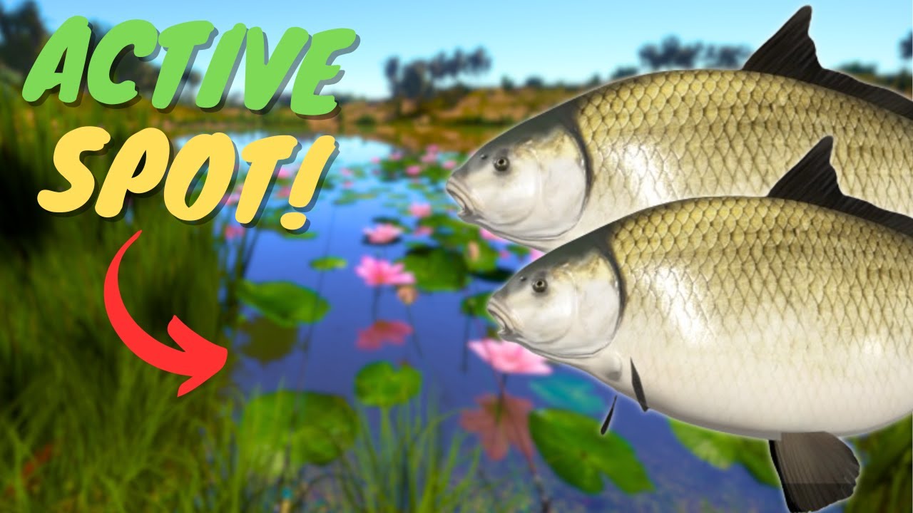 ACTIVE BUFFALO SPOT IN AKHTUBA RIVER! #912 Russian fishing 4