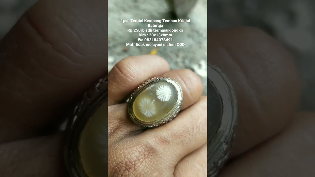 Teratai Kembang Tembus Kristal Baturaja #teratai #shortsyoutube #reelsyoutube #akik #batutermahal