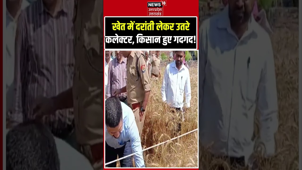 DM Inspecting Wheat Crop: खेत में दरांती लेकर उतरे कलेक्टर, किसान हुए गदगद।#DistrictMagistrate