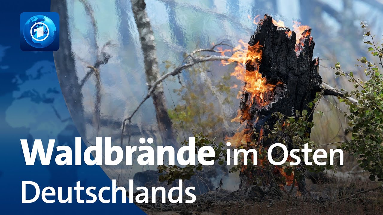 Mehrere Waldbrände in Ostdeutschland weiterhin nicht unter Kontrolle