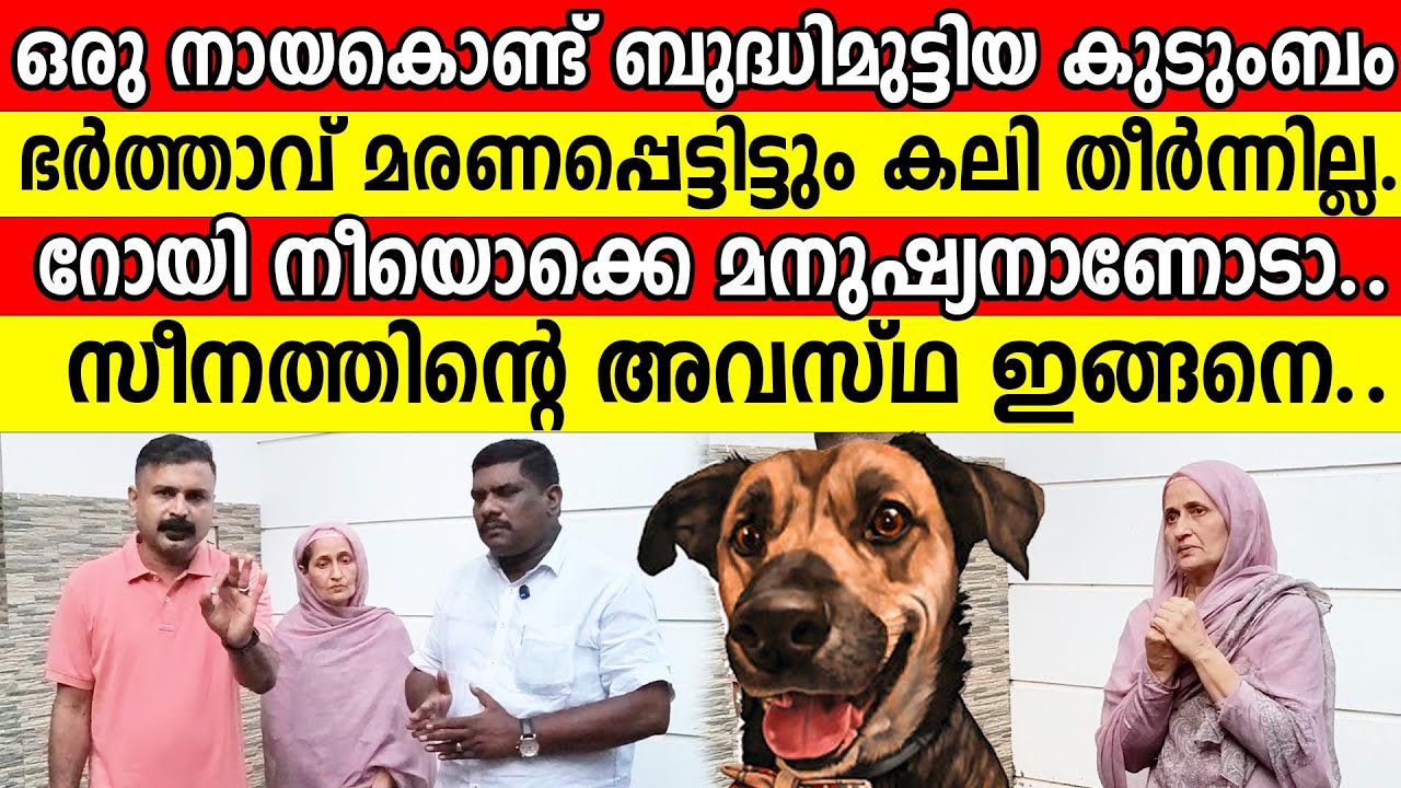 ഒരു നായയെ കൊണ്ട് ബുദ്ധിമുട്ടിയ കുടുംബം ഭർത്താവ് മരണപ്പെട്ടിട്ടും കലി തീർന്നില്ല..റോയി ന | dog attack
