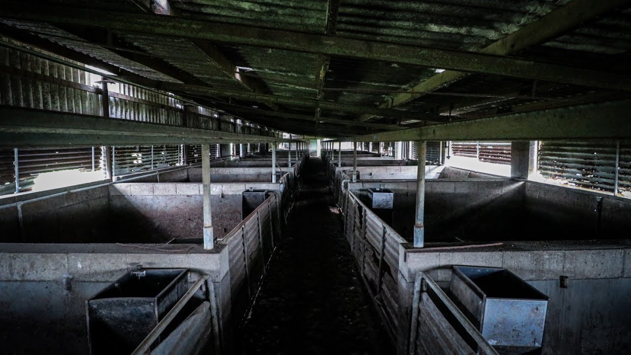 ABANDONED PIGGERY | Urban Exploring Adelaide, South Australia