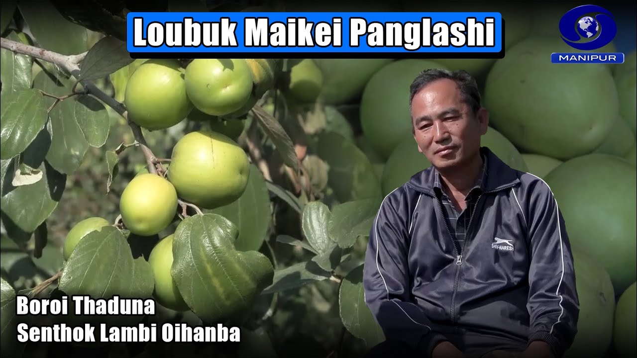 Loubuk Maikei Panglashi | Boroi Thaduna Senthok Lambi Oihanba