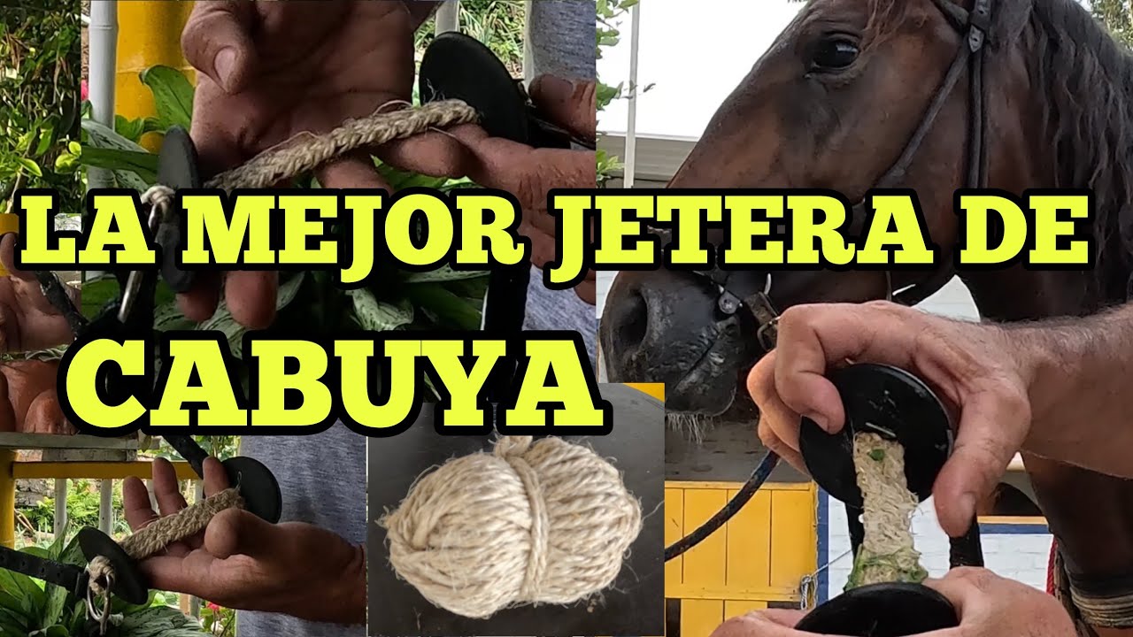 LA MEJOR JETERA DE CABUYA PARA CABALLOS
