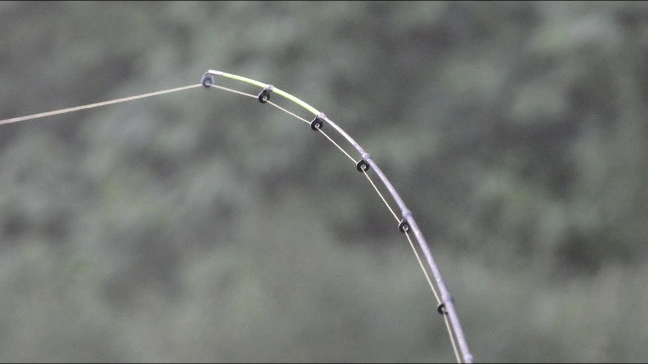 wedkarstwo rzeczne feeder na dzikiej miejscowce - klen,karas,karp,brzana