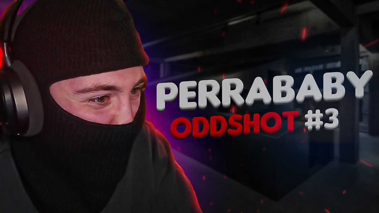 PerraBaby│Oddshot #3