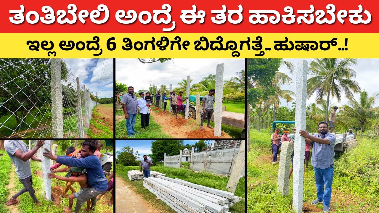 ತಂತಿಬೇಲಿ 6 ತಿಂಗಳಿಗೇ ಬಿದ್ದೊಗತ್ತೆ ಸರ್ | Fencing for farming | Agriculture Tanti beli fence #kannada