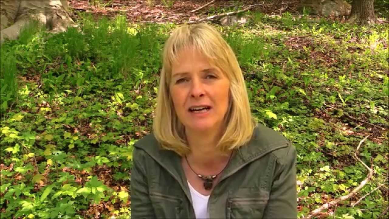 Trädgårdsterapi - Vad är trädgårdsterapi ? -Gröna rehab berättar