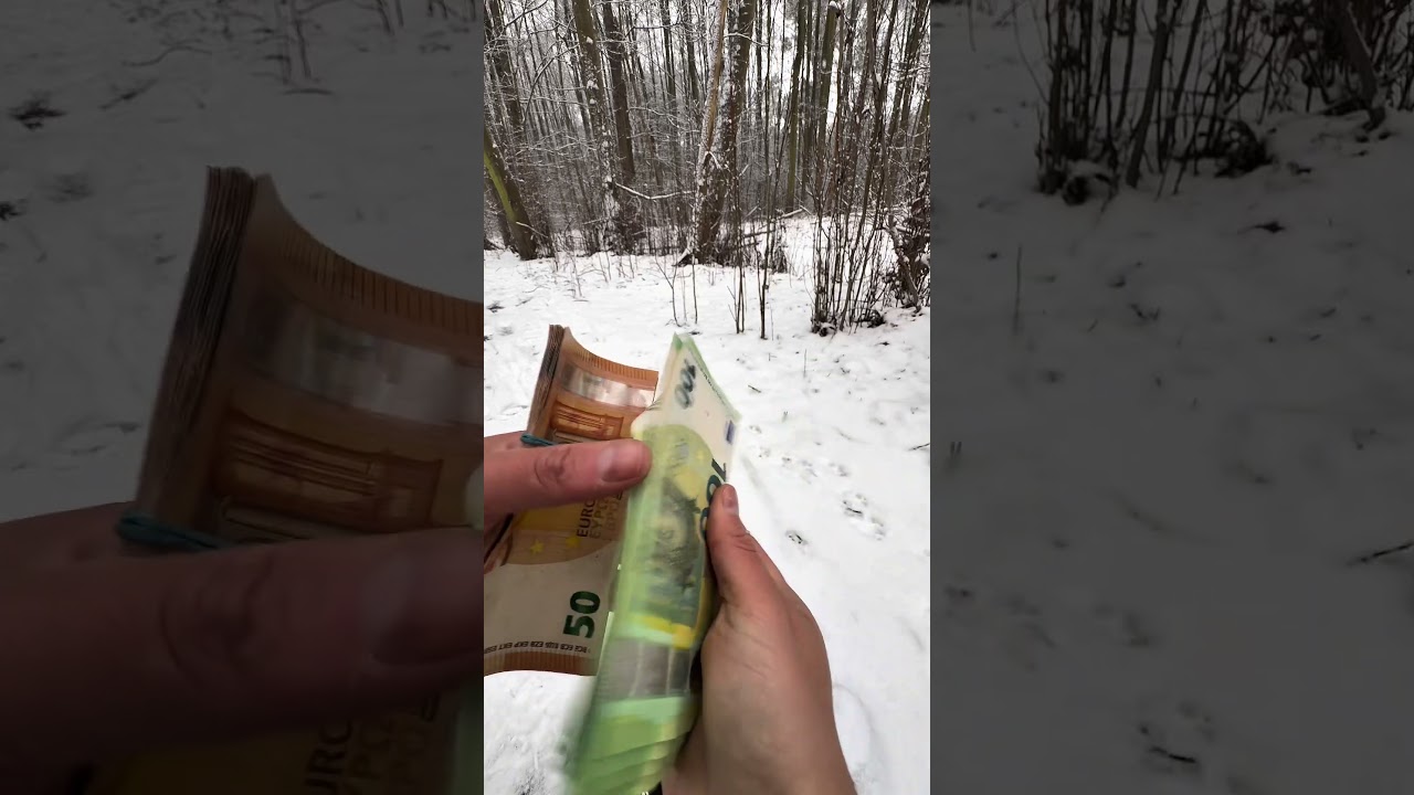 Считаю деньги в евро 💶 #50euro #asmr #20euro #cash #money #100euro #fyp