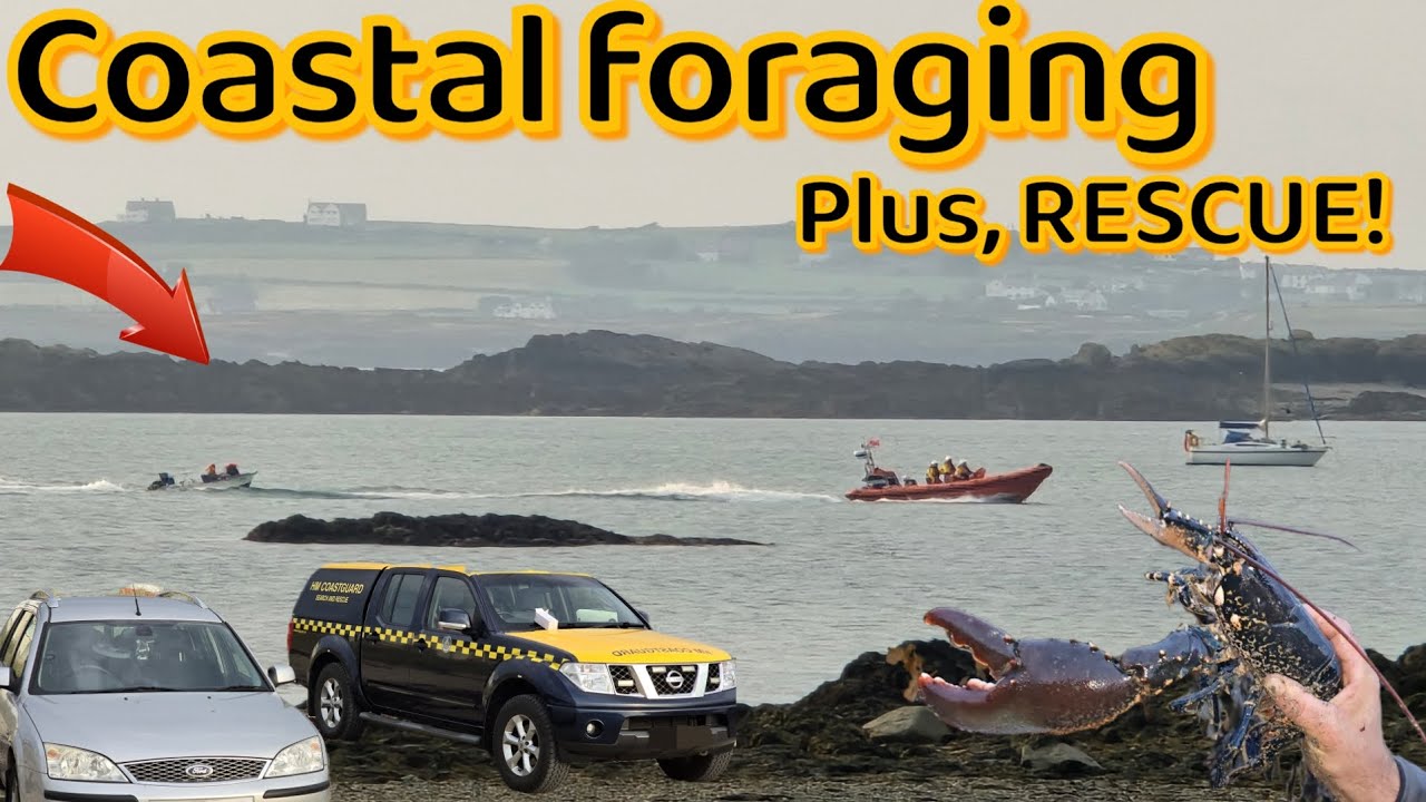 The Ultimate Lobster Hunt: Coastal Foraging for lobsters and much more!