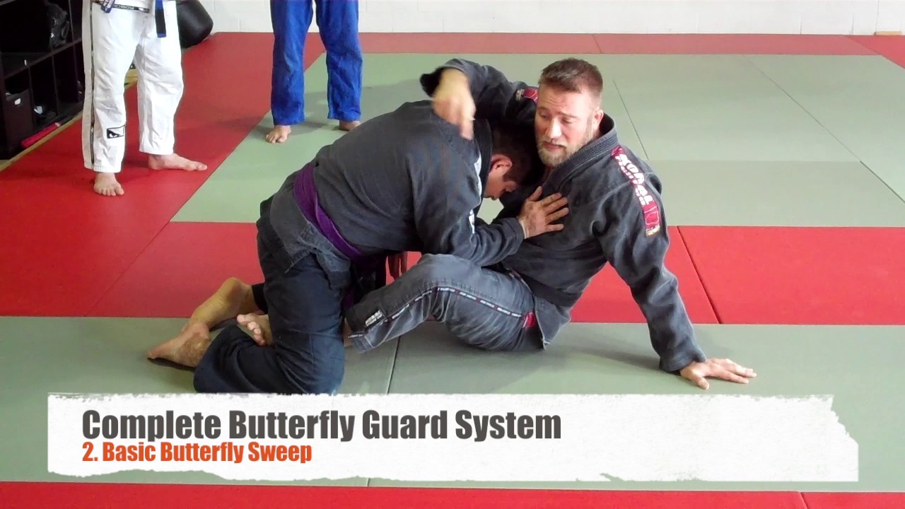 Complete Butterfly Guard System