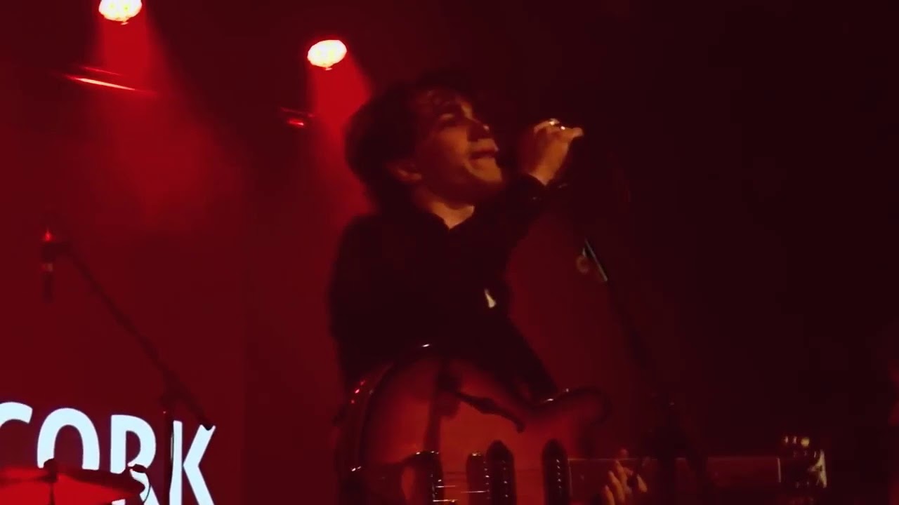 Inhaler - Dublin In Ecstasy (2019.05.02 Cyprus Avenue, Cork vid by Bryan Michael)