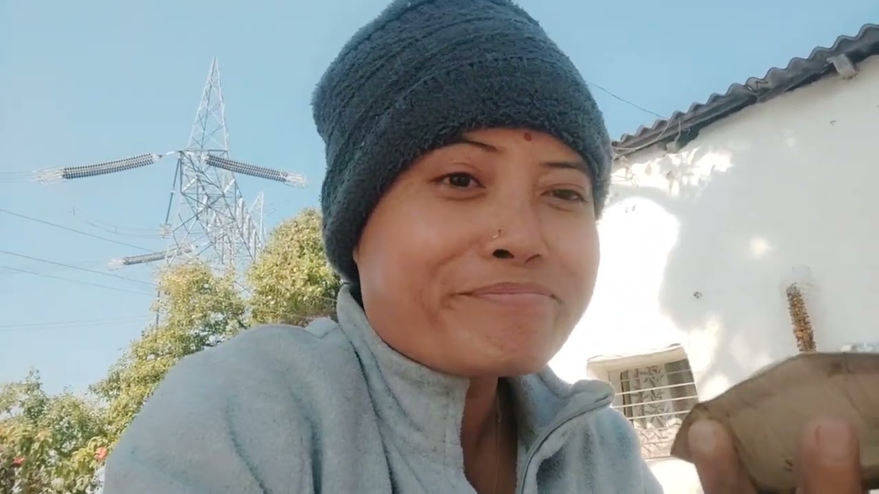 Khet Mai Gehu Lgaya🌾