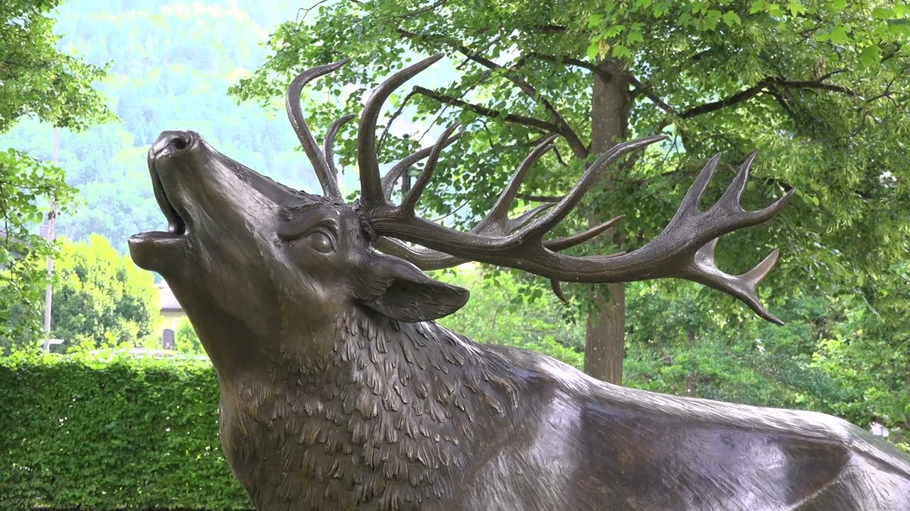 Der Berghirsch in Bronze vom Bildhauer, Max Kössler steht nicht nur im Kurpark von Bad Hofgastein.