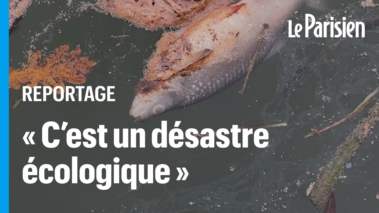 Pêcheurs, écologistes… ils veulent tous la vérité sur la pollution du canal de Loing