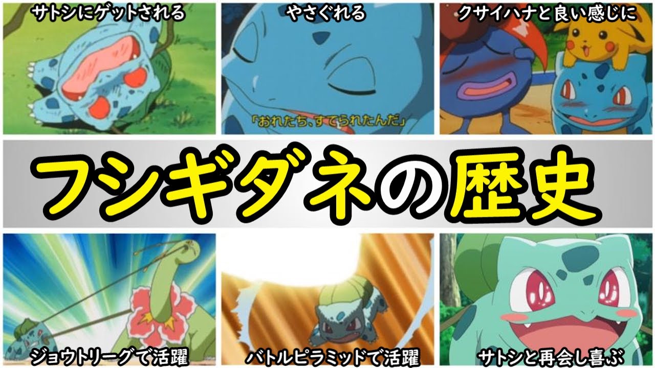 【歴史】サトシのフシギダネまとめ【サトシとの旅歴NO.1ポケモンを解説】
