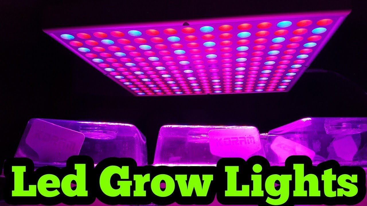 Do LED grow lights really work?