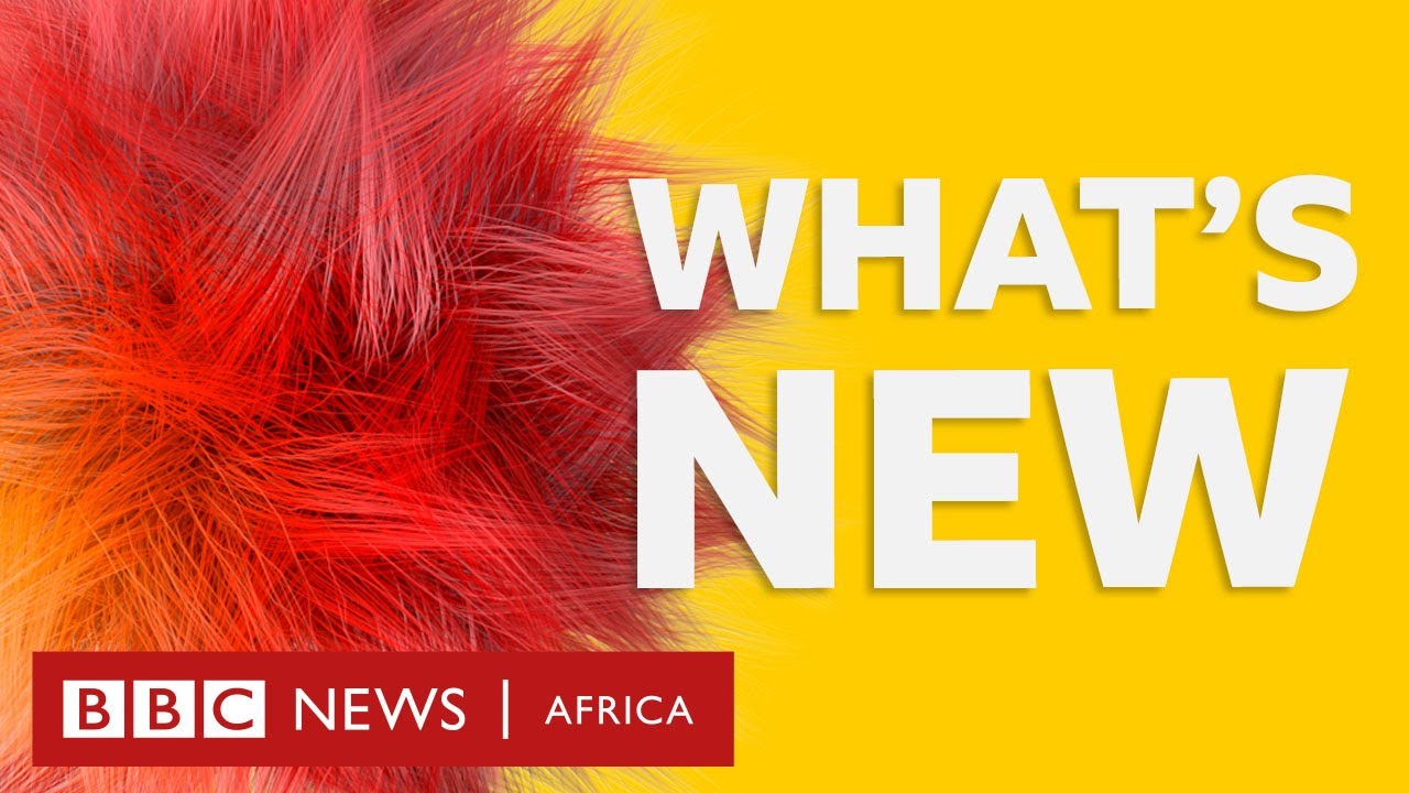 BBC Africa: The history of Windhoek in Namibia and other stories - BBC What's New