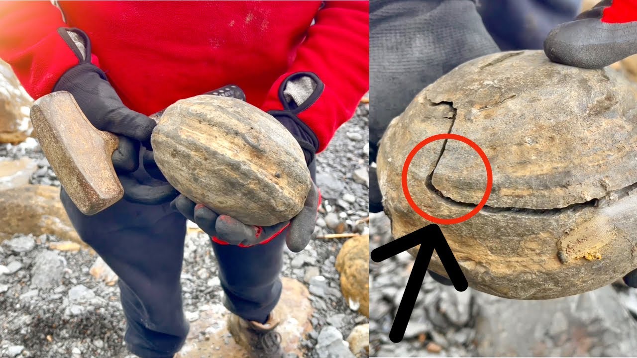 3 дня поиска окаменелостей на природе! | Охотник за окаменелостями