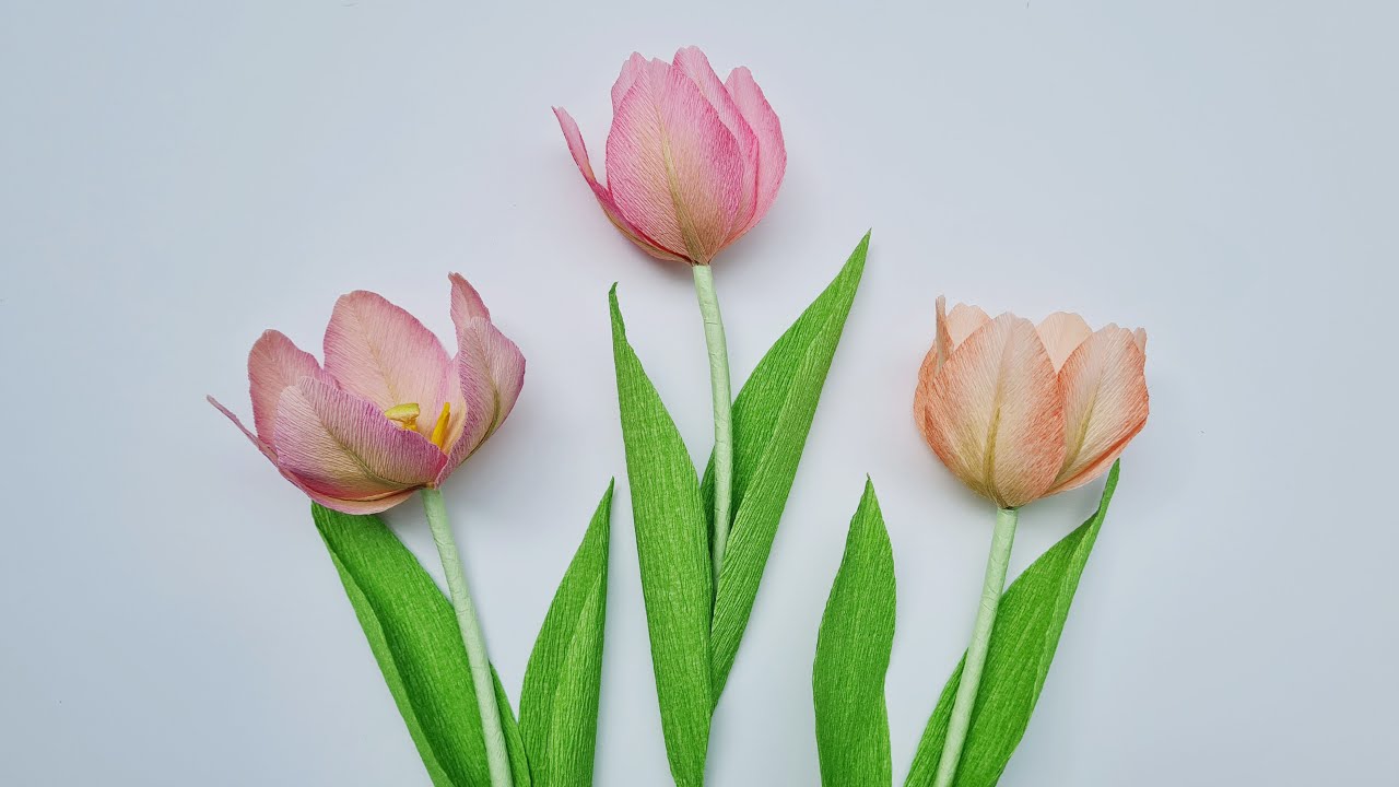 How to make Tulip paper flower #2 / Paper Flower / Góc nhỏ Handmade