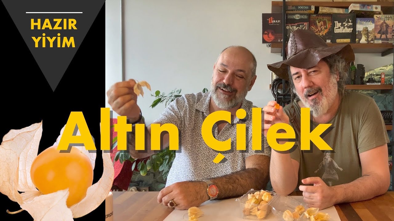HAZIR YİYİM: ALTIN ÇİLEK! Altın Çilek mi Yer Kirazı mı İnka Eriği mi! Karar Verin.