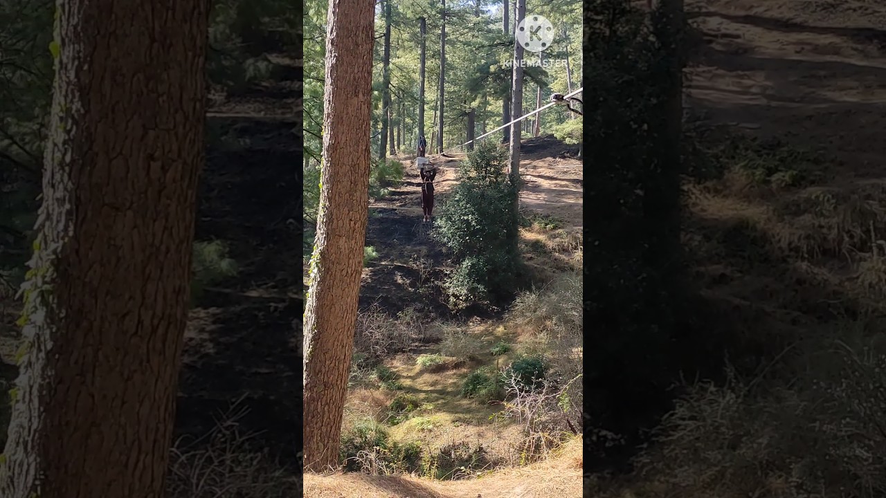 Adventure in Murree I zip line Murree#music #beautifullplace