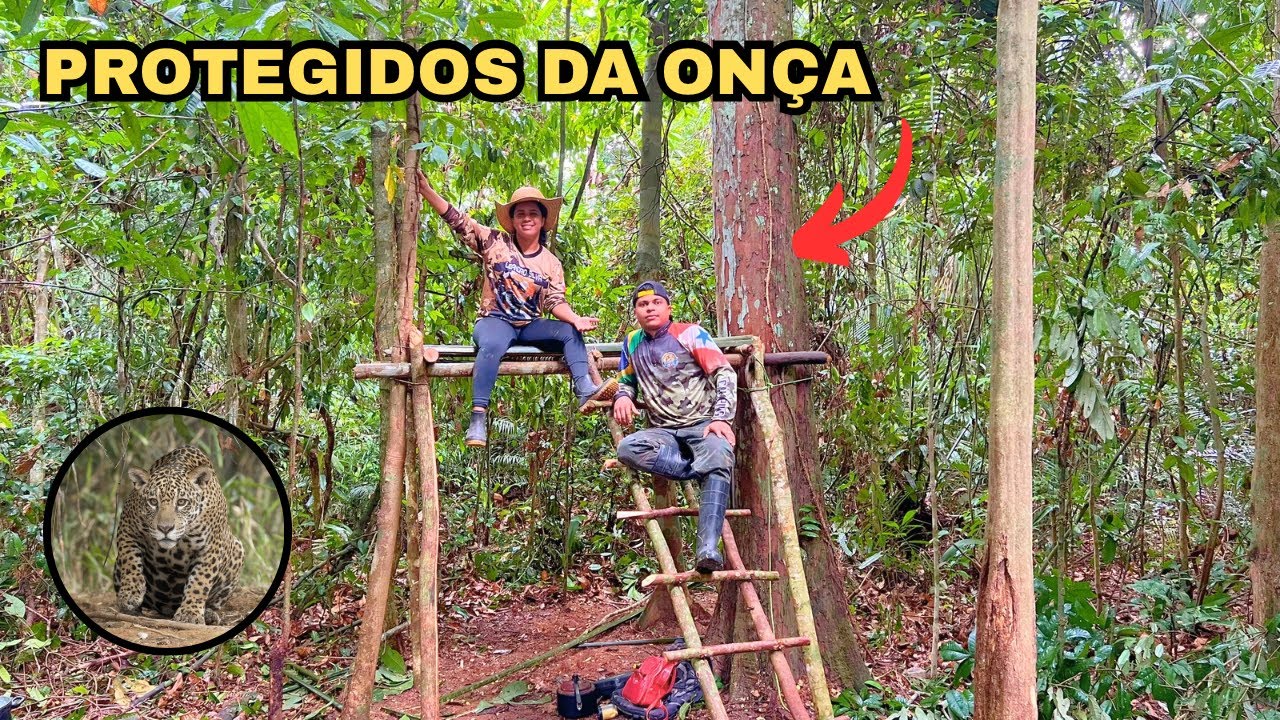 Estamos CONSTRUINDO o nosso ABRIGO RÚSTICO na MATA
