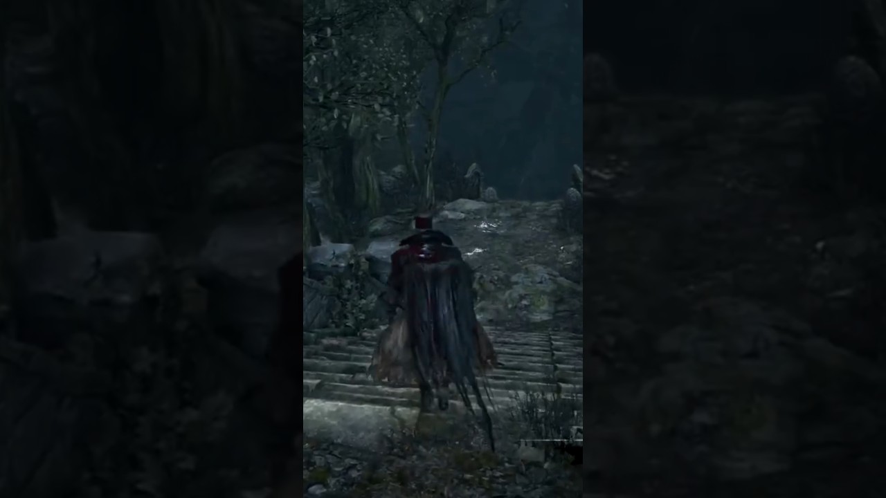 O QUE FAZER QUANDO CHEGAR NA FLORESTA PROIBIDA EM BLOODBORNE