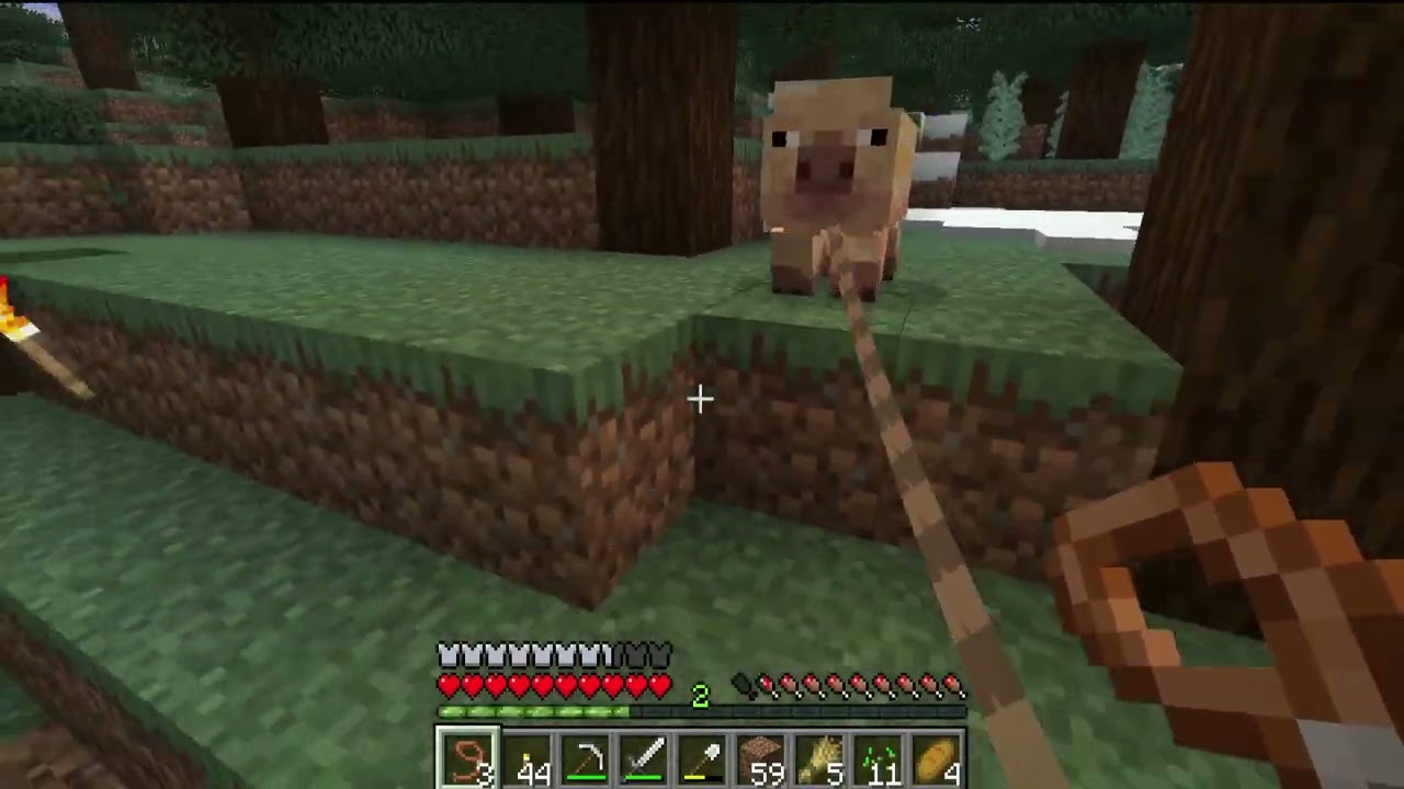 j'ai enfin mes deux cochons !!! survie minecraft jour  25