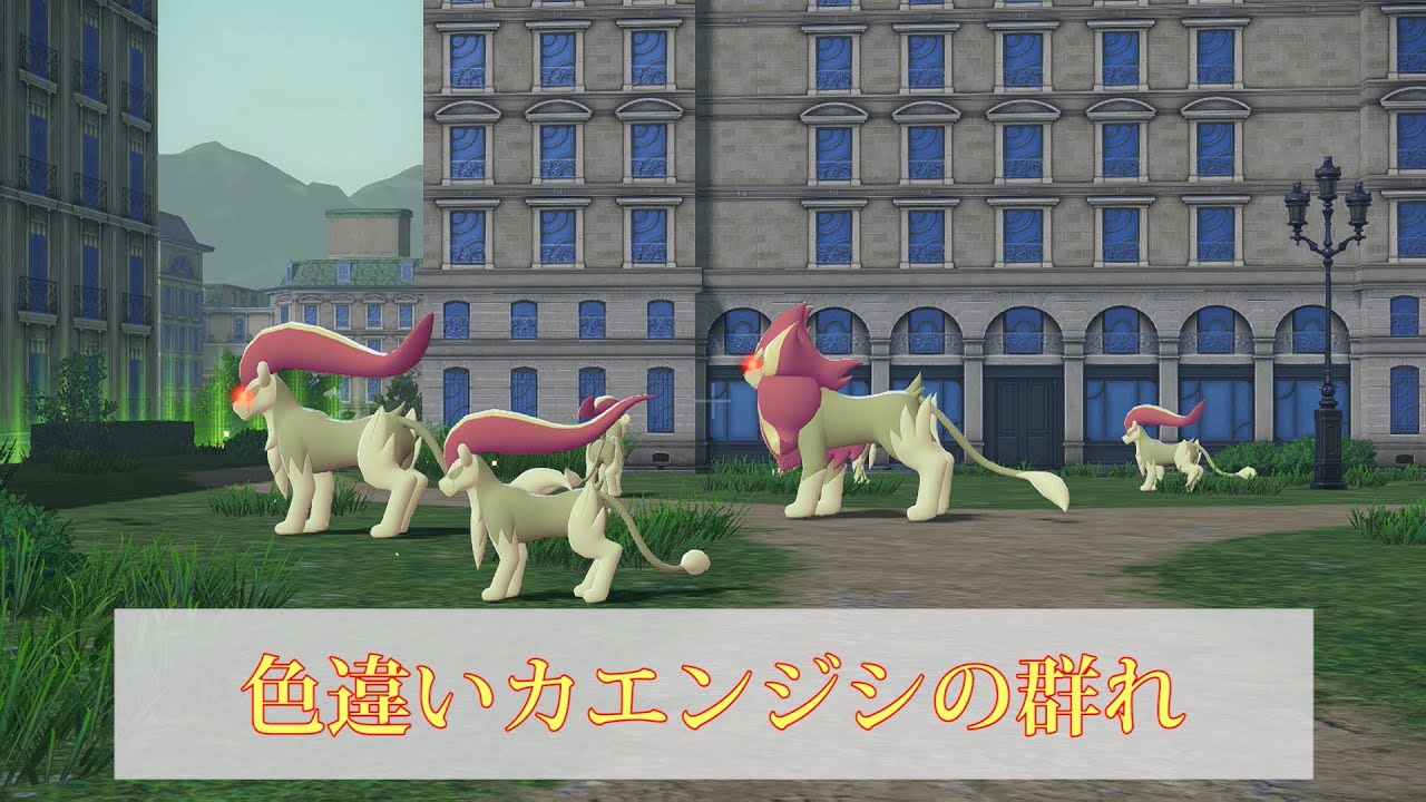 色違いカエンジシの群れ【ポケモンZA】