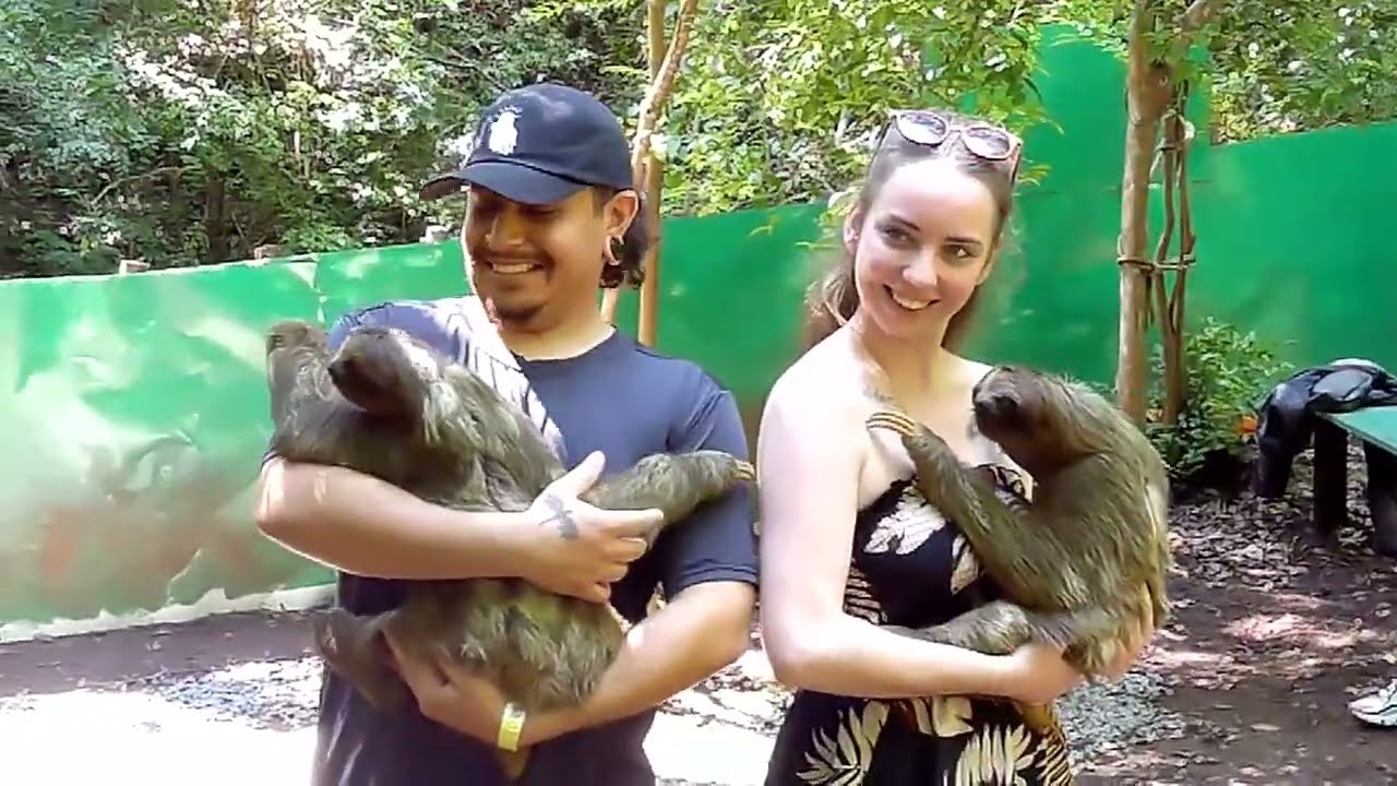 Lemurs and Monkeys and Sloths, Oh My!!